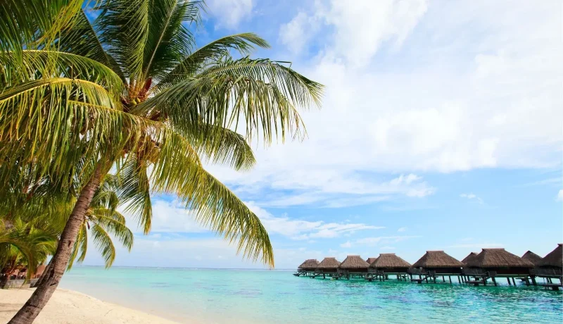 Le Luxe à la Polynésienne – Pearl Resorts et Lagons d’Exception