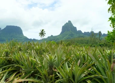 Combiné 5 îles en Polynésie – Immersion authentique et paradis tropical