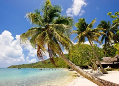 Voyage plongée en Polynésie | Combiné 4 Îles Spécial Plongée dans l’Archipel de la Société