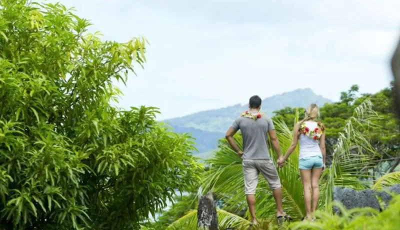 Voyage de Noces Polynésie | Combiné 4 îles en pensions de famille