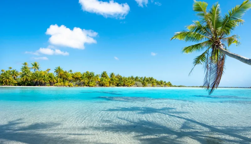 1ERE FOIS EN POLYNESIE : pension de famille, pilotis, découvertes des îles iconiques (package tout inclus)
