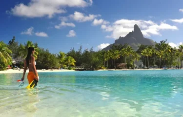 Vivre comme des Polynésiens et plonger en 4 îles – 14 Nuits /17 Jours