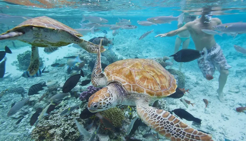 Combiné Tahiti | Moorea | Bora Bora – 9 nuits