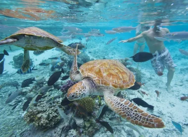 Combiné Tahiti | Moorea | Huahine | Bora Bora | Rangiroa – 15 nuits
