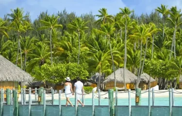 Séjour Luxe Spécial Plongée – Hôtels Intercontinental & The Brando