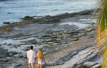Combiné 4 Îles Spécial Plongée Aux Tuamotu – Pack Tout Inclus