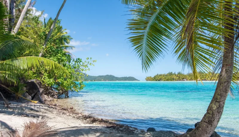 La Polynésie à travers deux archipels : SOCIETE et TUAMOTU