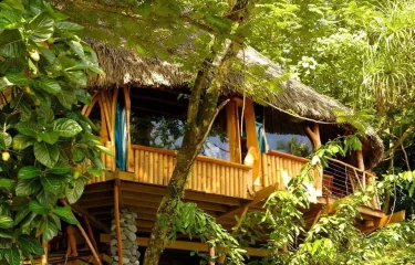 La Polynésie à travers deux archipels : SOCIETE et TUAMOTU
