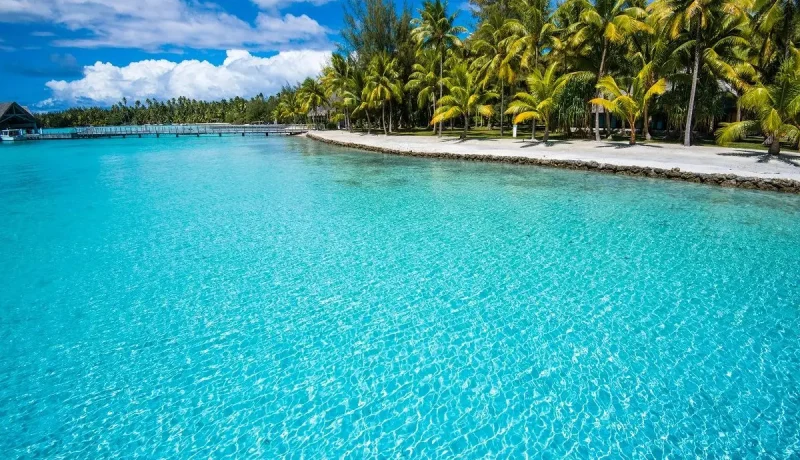 AUTHENTIQUE POLYNESIE