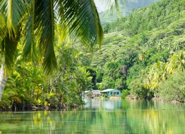 AUTHENTIQUE POLYNESIE
