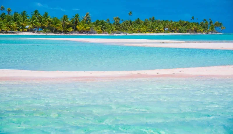 Les Tuamotu, l’archipel des merveilles