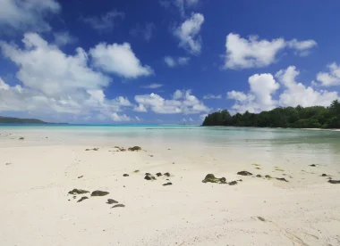 Rendez-vous aux Iles Australes