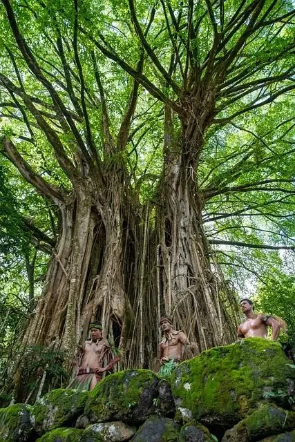 Bienvenue aux Iles Marquises, la « Terre des Hommes »