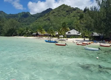 Au Fil des Îles : Authenticité et Beauté