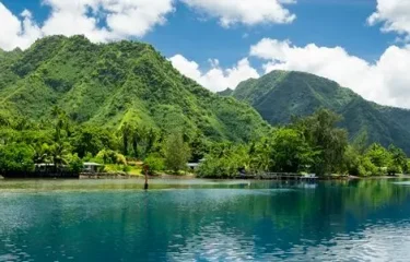 Au Fil des Îles : Authenticité et Beauté