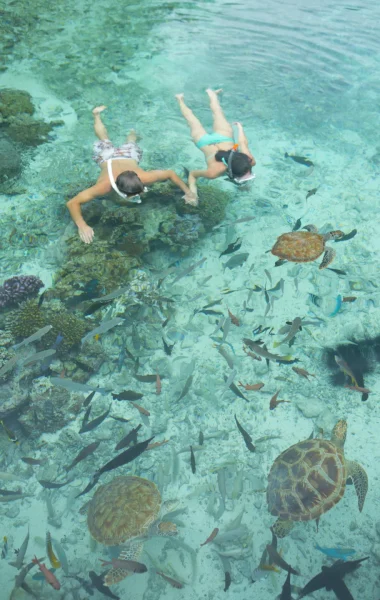 Snorkelling à Bora Bora ©Grégoire Le Bacon