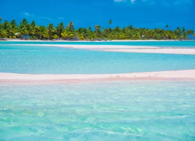 Plongée 3 Atolls : Tikehau, Rangiroa et Fakarava