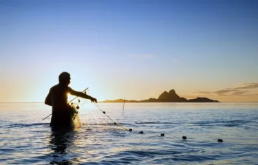 Activités à Moorea