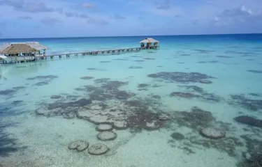 Séjour pour 1 PERSONNE : voyage d’une vie en polynésie (tout inclus et sur-mesure)