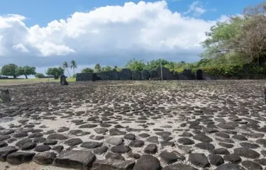 Expérience en Bungalow sur Pilotis Piscine Privée : le Luxe en Polynésie