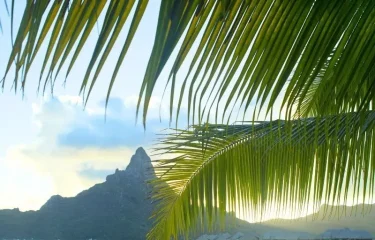 Voyage Premium en Polynésie Française – Découverte Authentique et Romantique