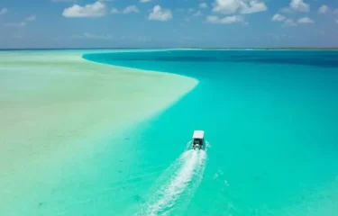 Expérience en Bungalow sur Pilotis Piscine Privée : le Luxe en Polynésie