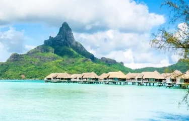 Combiné 4 Îles Spécial Plongée Aux Tuamotu – Pack Tout Inclus