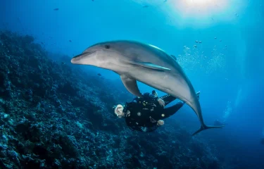 Nature sauvage et préservée