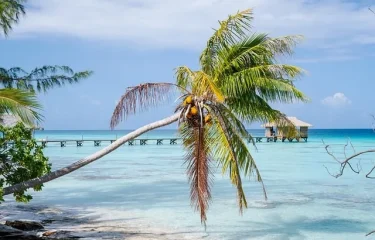 Séjour pour 1 PERSONNE : voyage d’une vie en polynésie (tout inclus et sur-mesure)