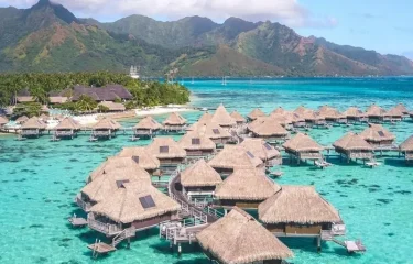 Combiné 4 Îles Spécial Plongée Aux Tuamotu – Pack Tout Inclus