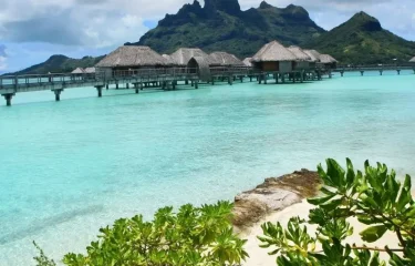 Combiné 4 Îles Spécial Plongée Aux Tuamotu – Pack Tout Inclus