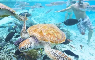 Voyage de Noces en Polynésie : Luxe et Romance sur Pilotis