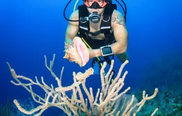 Nature sauvage et préservée