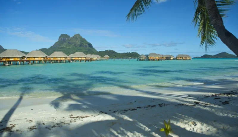 Douceur Tahitienne