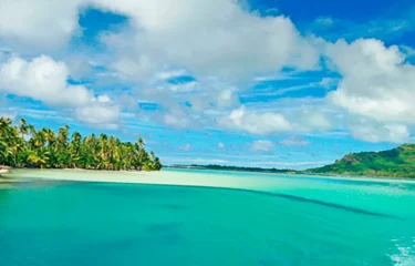 Plongée à Rangiroa