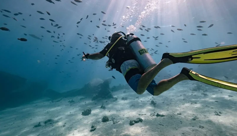 Combiné 4 Îles Spécial Plongée Aux Tuamotu – Pack Tout Inclus