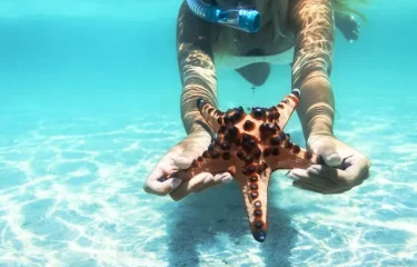Plongée à Rangiroa