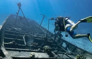 Plongée à Rangiroa