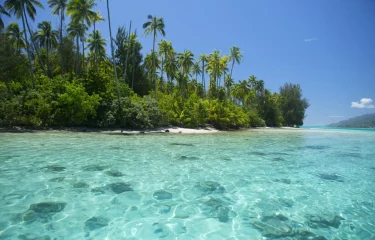 Expédition à bord de l’Aranui dans les Marquises & détente à Moorea – Polynésie