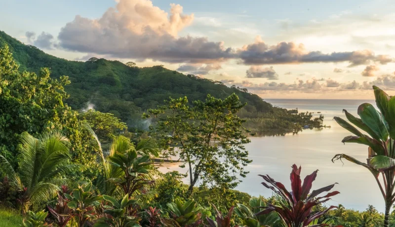 Luxe et authenticité en Polynésie : Moorea, Raiatea, Bora Bora, Fakarava et Tahiti
