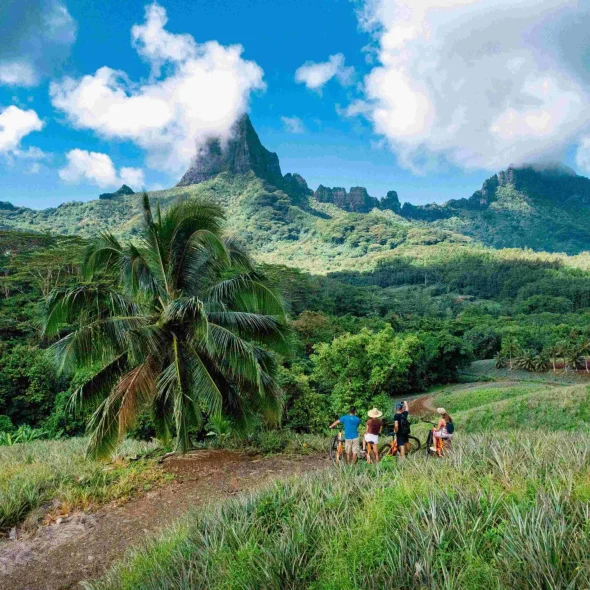 Que faire à Moorea ?