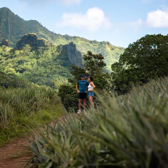 Que faire à Moorea ?