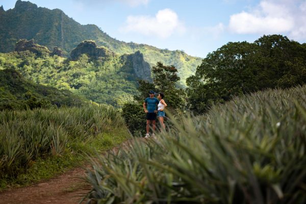 Que faire à Moorea ?