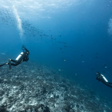 Faire de la plongée sous-marine à Rangiroa © Alexandre Voyer
