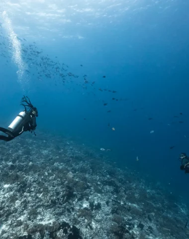 Faire de la plongée sous-marine à Rangiroa © Alexandre Voyer