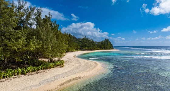 Vue sur une plage de Rurutu ©Michael Runkel