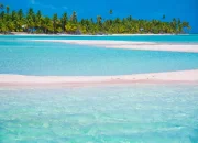 Une plage de sable rose typique de Tikehau © Lei Tao