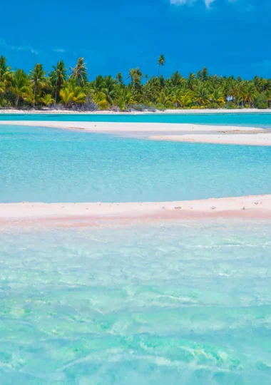 Une plage de sable rose typique de Tikehau © Lei Tao