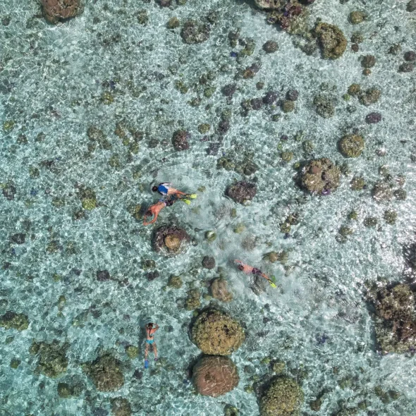 snorkeling en famille dans le lagon de bora bora © Grégoire Le Bacon _ LionAiles