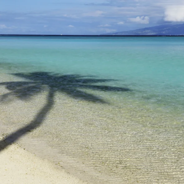 Temae © Sofitel Moorea Ia Ora Beach Resort
